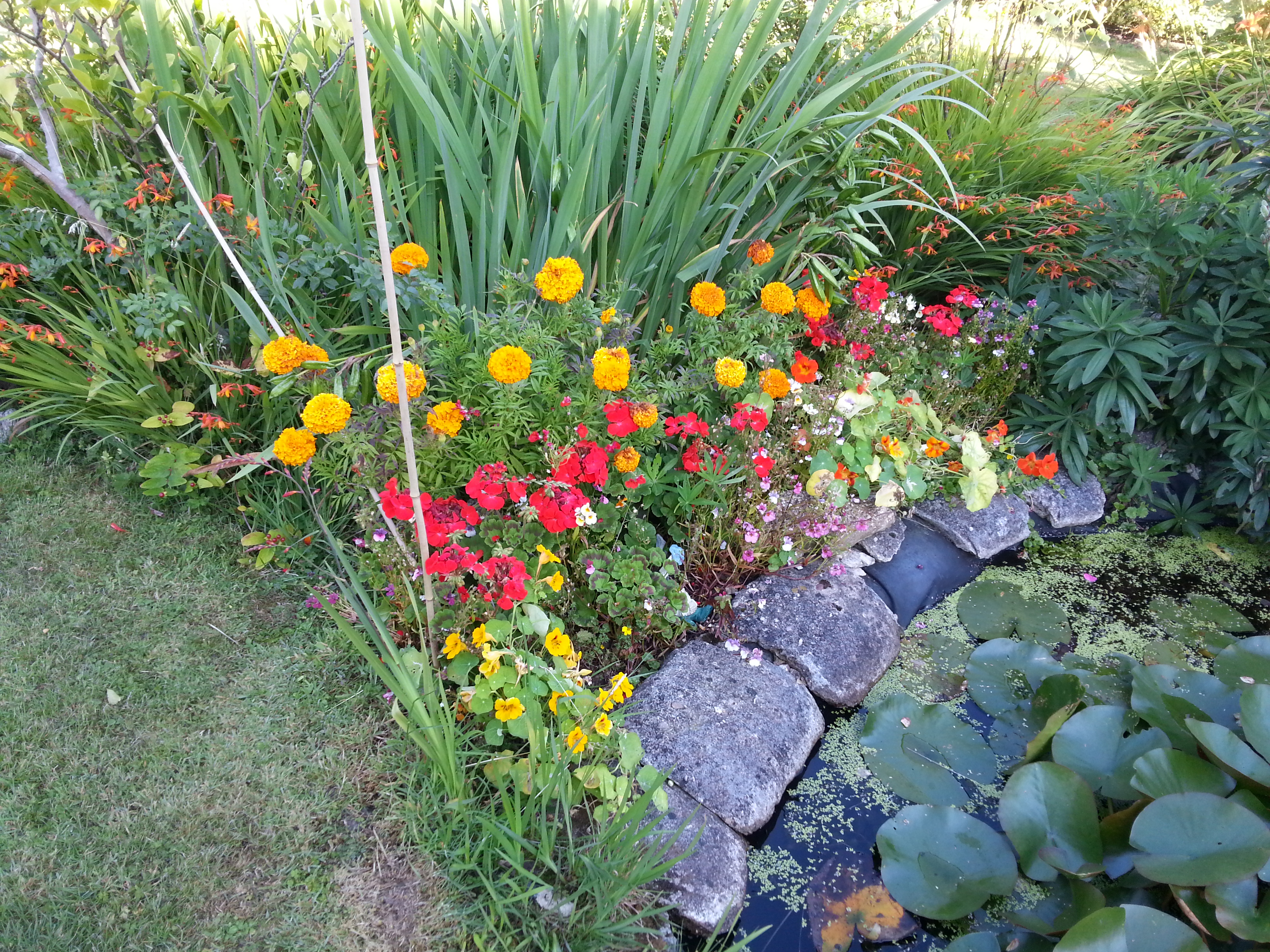 Gardeners Norwich Reliable Garden Maintenance Service Alan Handyman