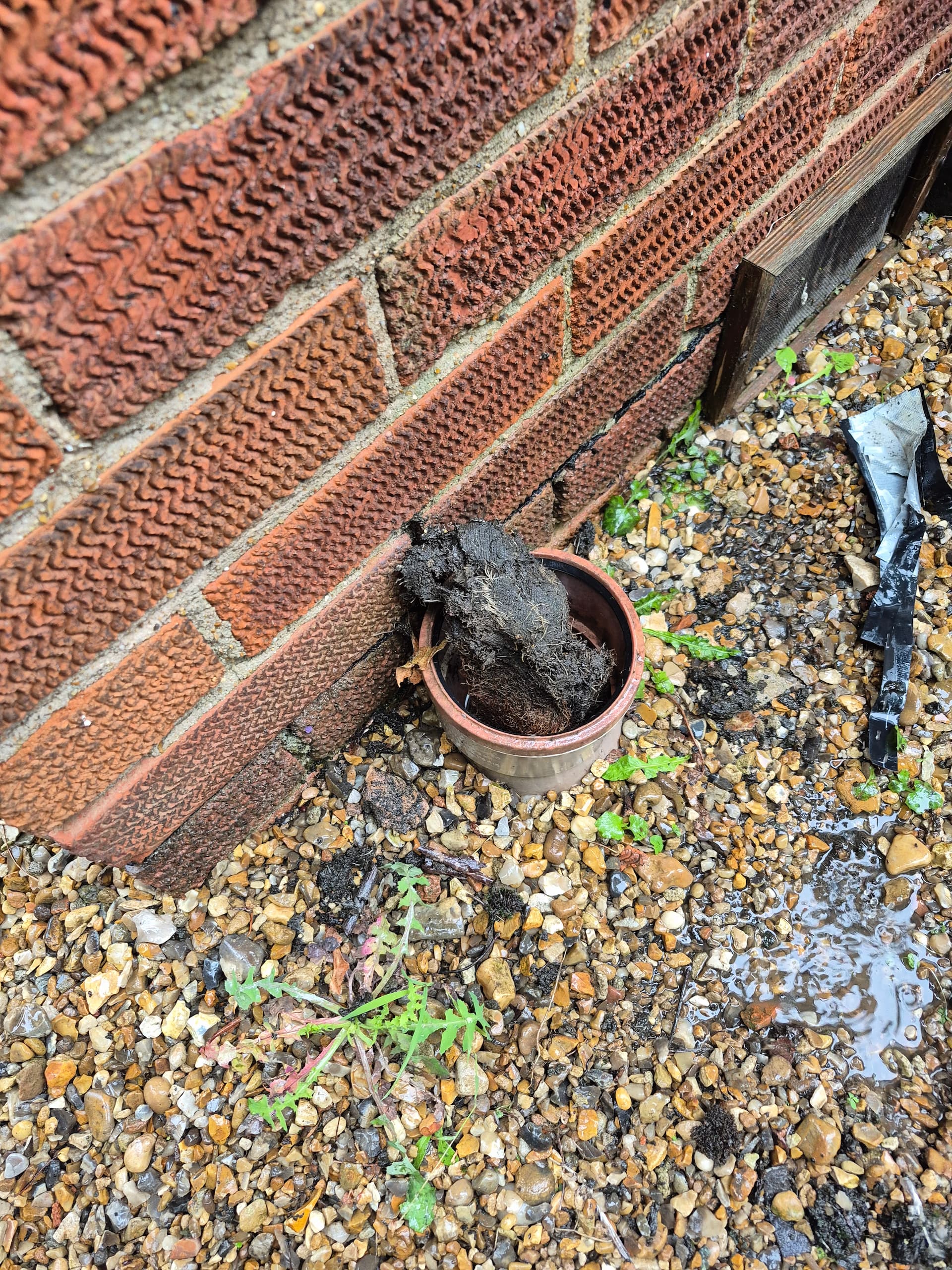 Gully's Cleared in Thorpe St Andrew