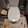 Brand new white D-shaped toilet seat cleanly installed on a ceramic bathroom pan during a small job in Eaton Norwich